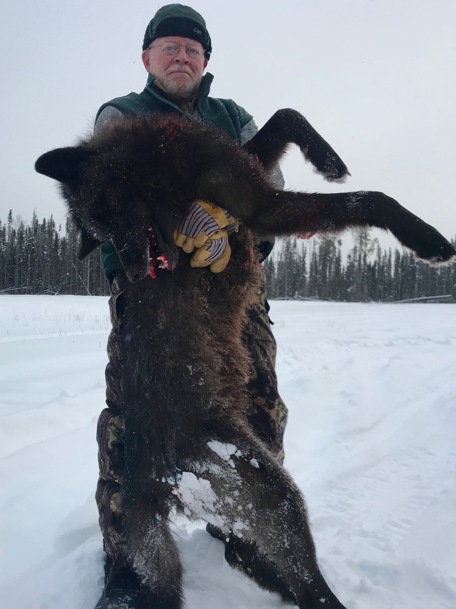 Wolf Hunts in Canada