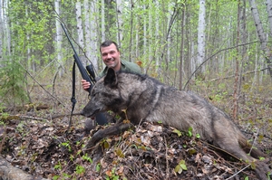 Wolf Hunting